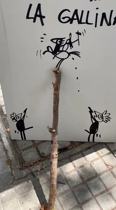 Cuestión de huevos. www. es – Street-Art: Szene aus dem Art-Is-Trash-Video von Francisco de Pájaro