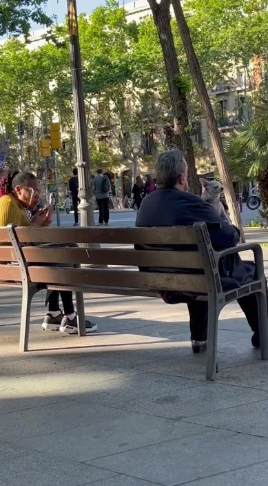 Lo que hay que oír sin querer oír – Street-Art in Barcelona: Szene aus dem Art-Is-Trash-Video von Francisco de Pájaro