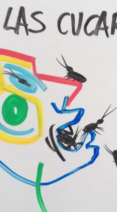 Si me das a elegir – Street-Art in Barcelona: Szene aus dem Art-Is-Trash-Video von Francisco de Pájaro